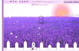 三国志13PK