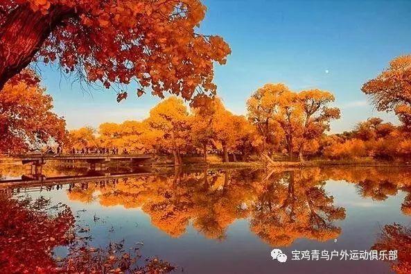 超魔晶猎人跑酷