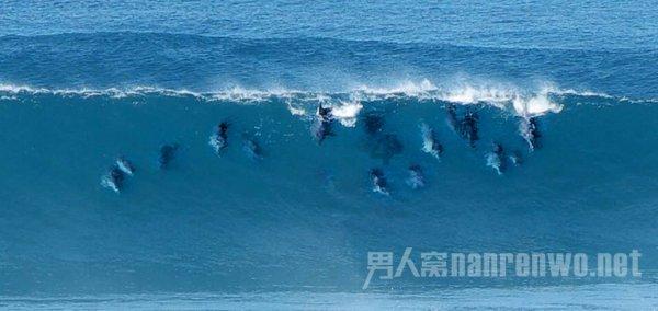 本宫来自古代