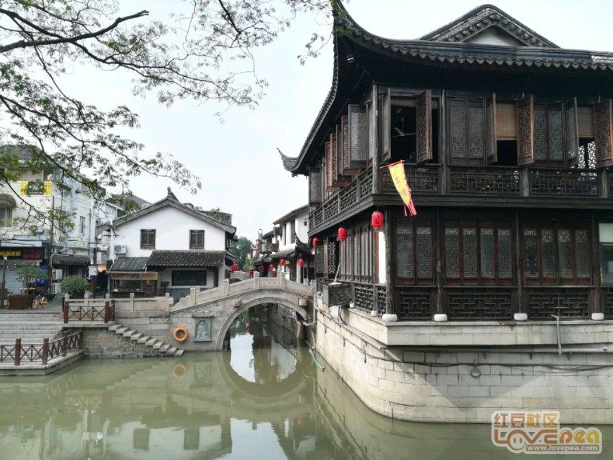 小鸡要回家